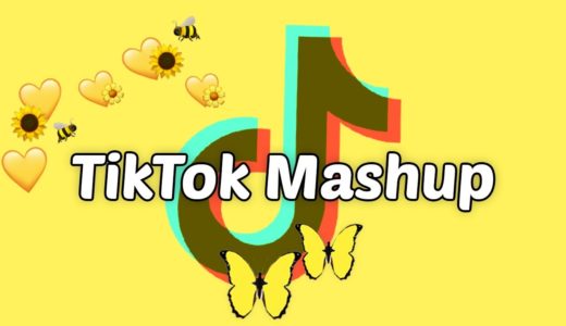 TikTok Mashup 2021 (not clean)