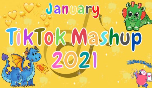 TikTok Mashup 2021 January 🐌Not Clean🐉