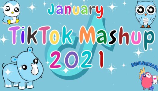 TikTok Mashup 2021 January 💍💦Not Clean💍💦