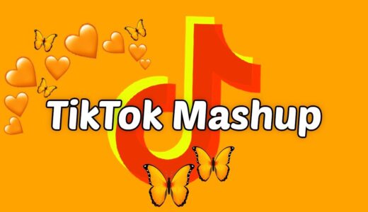 TikTok Mashup 2021 (not clean)