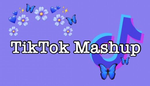 TikTok Mashup 2021 (not clean)