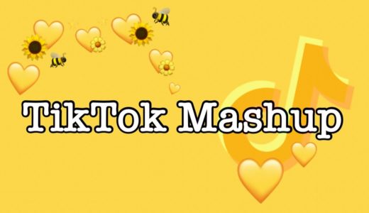 TikTok Mashup 2021 (not clean)