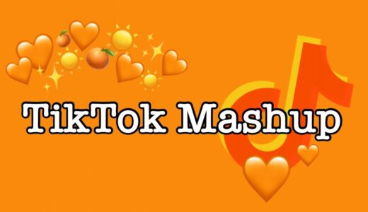 TikTok Mashup 2021 (not clean)