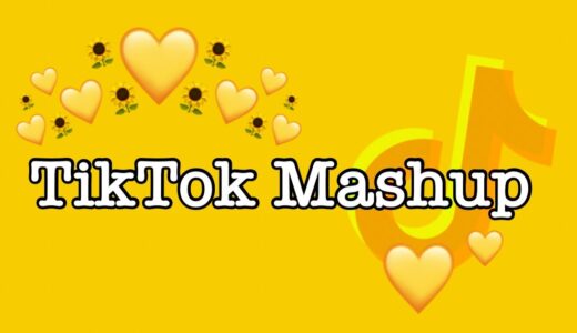 TikTok Mashup 2021 (not clean)