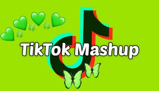 TikTok Mashup 2021 (not clean)