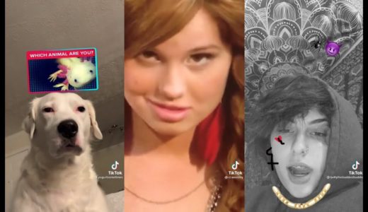 TikTok Memes that were Approved by Debby Ryan