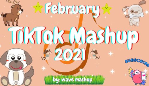 TikTok Mashup 2021 February ️🎨💓Not Clean️🎨💓