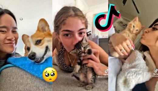 Kiss Your Pet On The Head And See Their Reaction | TikTok Compilation