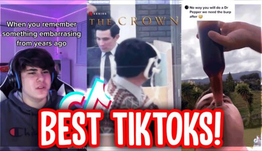 The Best TikTok Compilation of March 2021