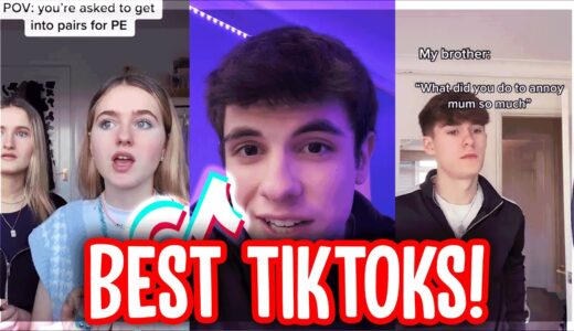 The Best TikTok Compilation of March 2021