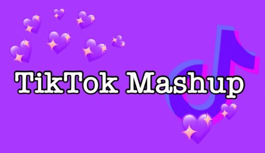 TikTok Mashup 2021 (not clean)