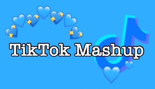 TikTok Mashup 2021 (not clean)