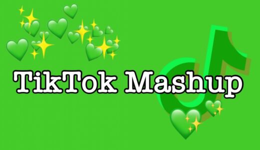 TikTok Mashup 2021 (not clean)