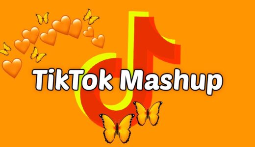 TikTok Mashup 2021 (not clean)