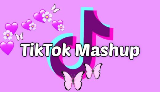 TikTok Mashup 2021 (not clean)