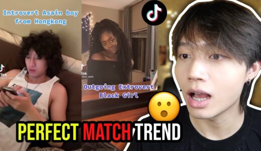 Perfect Match Trend on Tiktok - while me and my insecurity are the best match