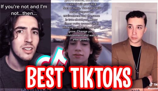 The Best TikTok Compilation of April 2021