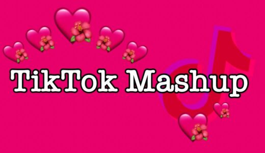 TikTok Mashup 2021 (not clean)