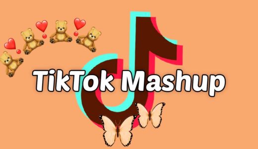 TikTok Mashup 2021 (not clean)