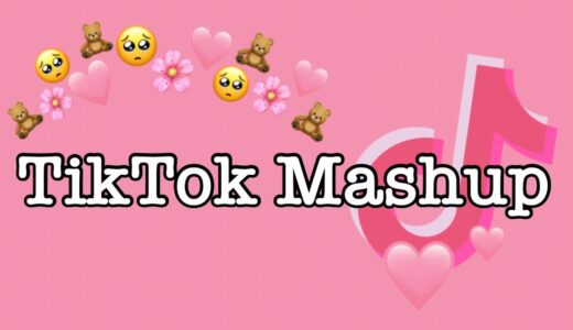 TikTok Mashup 2021 (not clean)