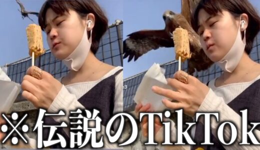 【神回】伝説のTikTokがツッコミどころ満載すぎるwwwwww【黒歴史】14