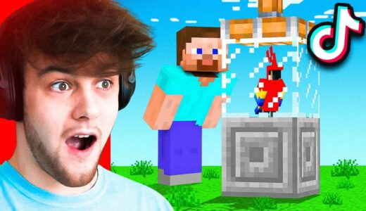 15 MINECRAFT TIKTOK HACKS that ACTUALLY WORK!