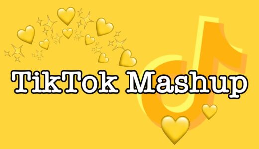 TikTok Mashup 2021 (not clean)