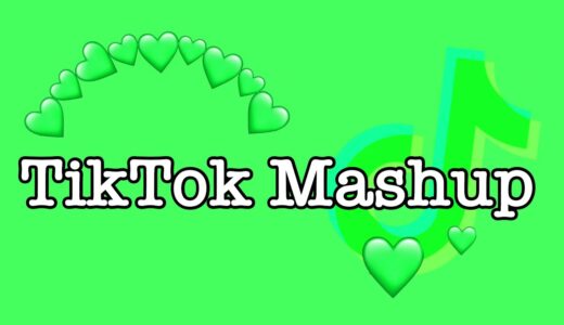 TikTok Mashup 2021 (not clean)