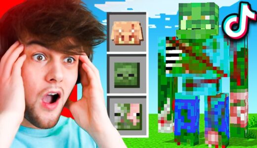 TESTING *VIRAL* 1.17 MINECRAFT TIKTOK HACKS!