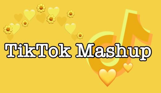 TikTok Mashup 2021 (not clean)