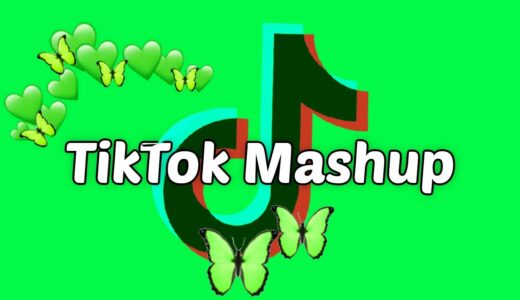 TikTok Mashup 2021 (not clean)