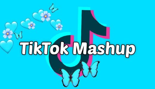 TikTok Mashup 2021 (not clean)