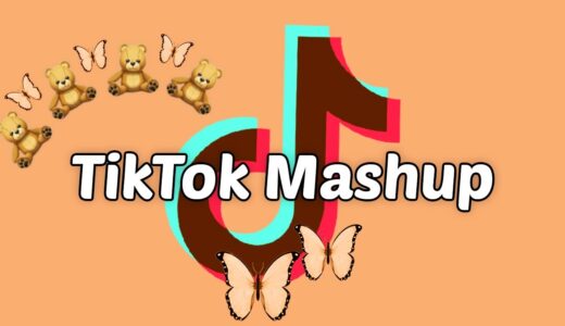 TikTok Mashup 2021 (not clean)