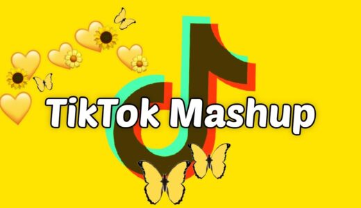 TikTok Mashup 2021 (not clean)