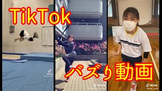 【TikTok】今日のバズり動画【No.011】