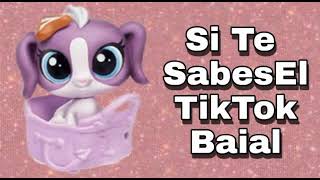 Si Te Sabes El Tiktok Baila! - 2021