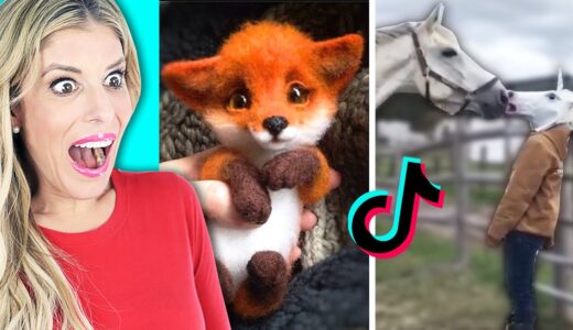 Cute Animals on TikTok that Will Make You Laugh