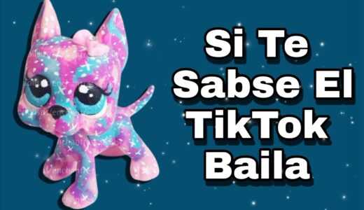 Si Te Sabes El Tiktok Baila! - 2021