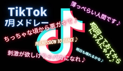 【Tik Tok】テンションアゲアゲ人気曲メドレー7月ver[20分耐久][作業用]