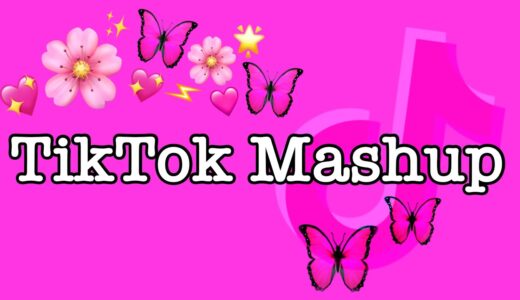 TikTok Mashup 2021 (not clean)