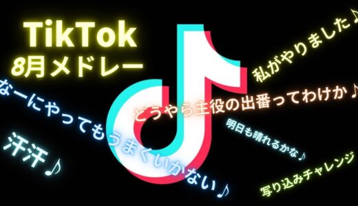 【Tik Tok】テンションアゲアゲ人気曲メドレー8月ver[20分耐久][作業用]