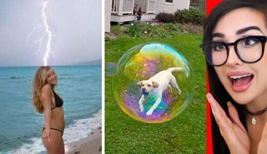 Crazy Photos Taken At The Right Time