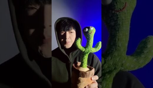 Cactus vs Beatbox #beatbox #tiktok