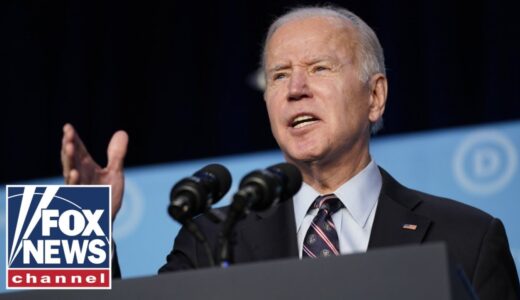 Biden admin uses TikTok stars to blame Putin for gas prices