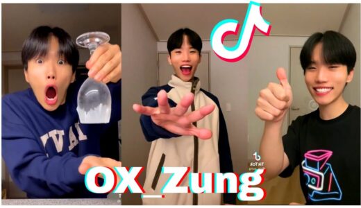 Funniest tiktok compilation of ox_zung (mamaguy)