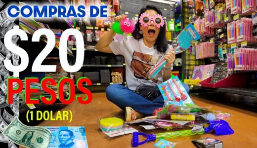 COMPRO TODO LO QUE QUIERO DE $20 PESOS | AnaNANA TOYS