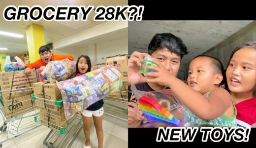 BUYING TIKTOK TOY FOR CHLOE + GROCERY with US! (28K?!) | Grae and Chloe