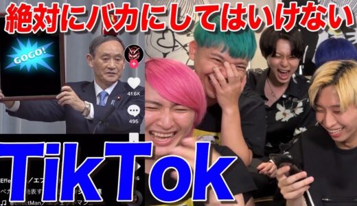 【削除覚悟】絶対にバカにしてはいけないTikTok【ネクステ】