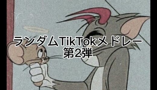 【ランダムTikTokメドレー第2弾!!⠀】全部知ってる？！踊れる？！