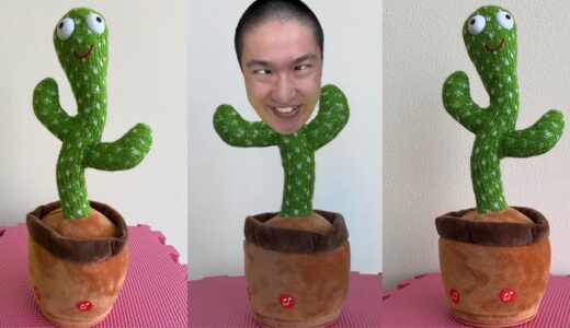 CRAZIEST Sagawa1gou Funny TikTok Compilation | Try Not To Laugh Watching Cactus Dance